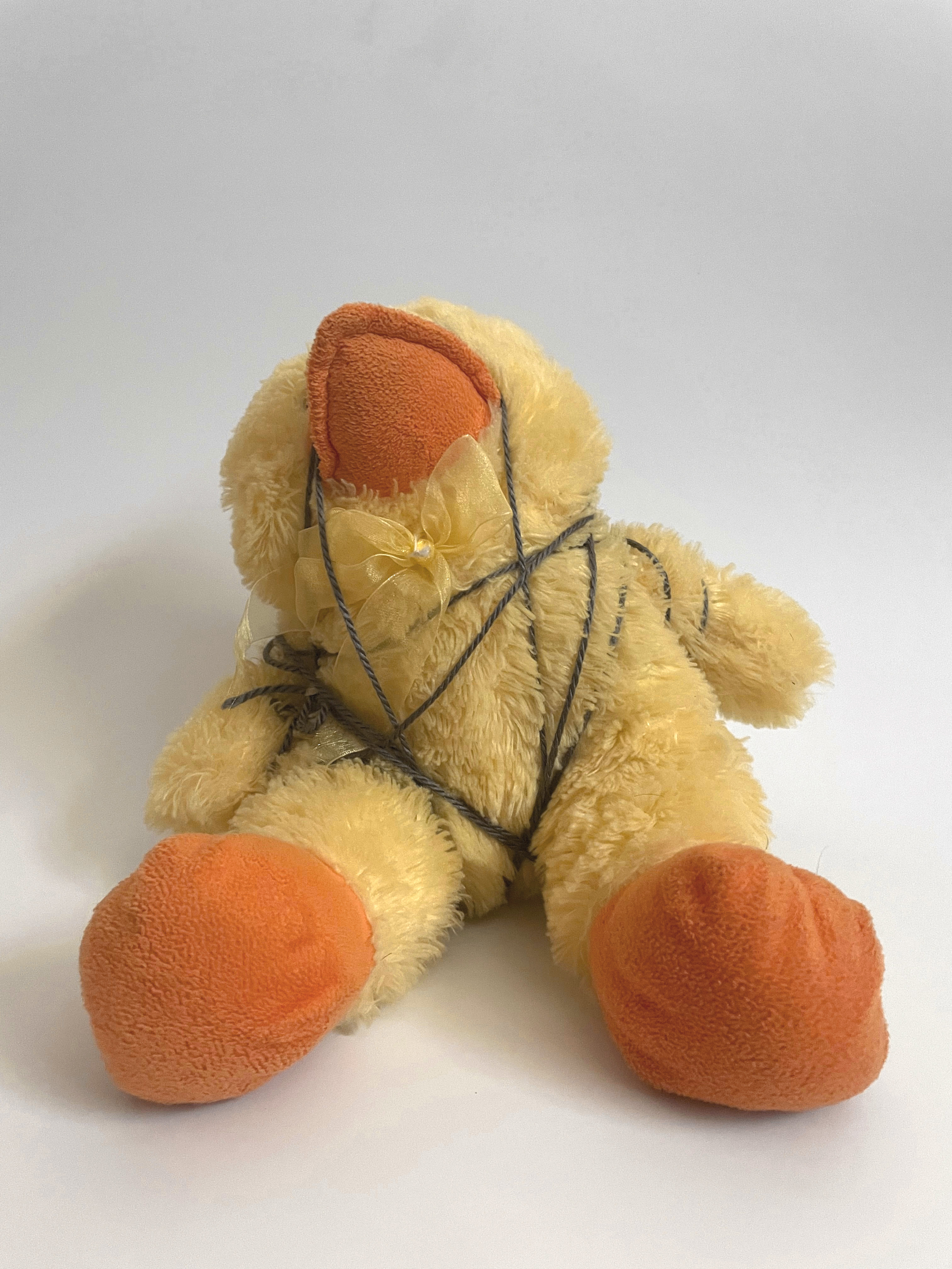 picture of a old neglected stuffed animal (duck) tied up  in yarn with its facing upwards sitting at a 90 degree angle